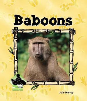 Baboons (Animal Kingdom) - Book  of the Buddy Books