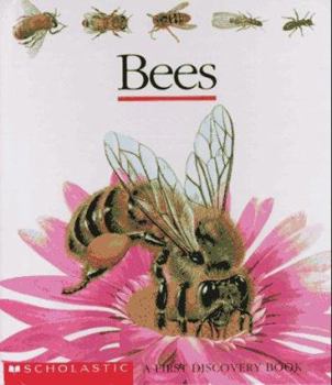 Spiral-bound Bees Book