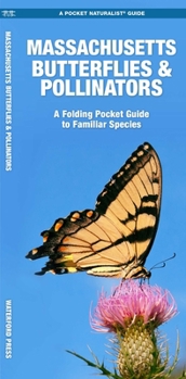 Misc. Massachusetts Butterflies & Pollinators: A Folding Pocket Guide to Familiar Species Book