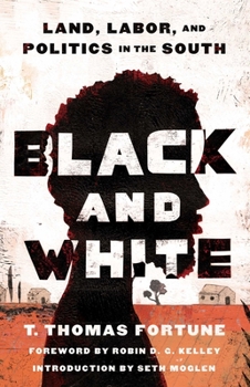Paperback Black and White: Land, Labor, and Politics in the South Book