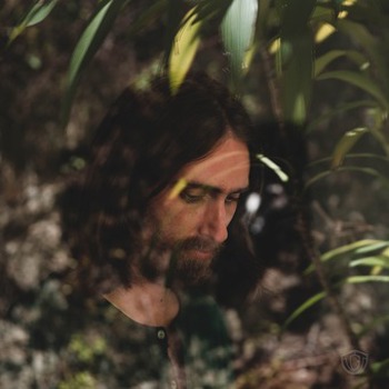 Vinyl I Like It Here Book