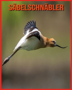 Paperback S?belschn?bler: Erfahre mehr ?ber S?belschn?bler und freue dich an den farbenfrohen Bildern [German] Book