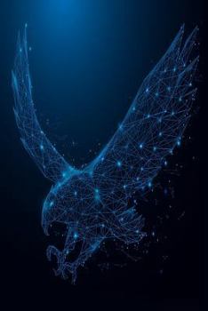 Paperback Eagle Notebook: Blank Lined Journal, Softcover (6x9 Inches) with 120 Pages Book