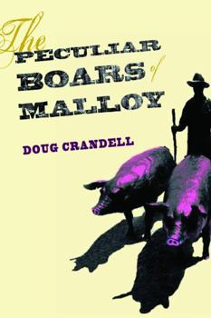 Paperback The Peculiar Boars of Malloy Book