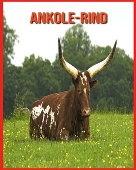 Ankole-Rind: Sagenhafte Fotos & Buch mit lustigem Wissen ?ber Ankole-Rind f?r Kinder