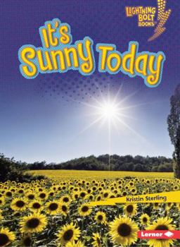 It's Sunny Today - Book  of the What's the Weather Like?