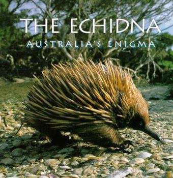 Hardcover Echidna Book