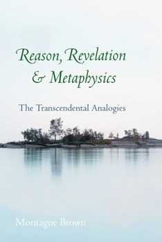 Hardcover Reason, Revelation, and Metaphysics: The Transcendental Analogies Book