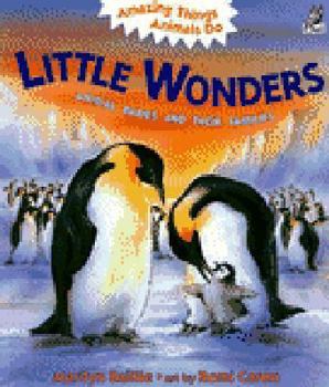 Paperback Little Wonders: Animal Babies and Their Families Book