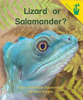 Paperback Early Readers: Lizard or Salamander? Book