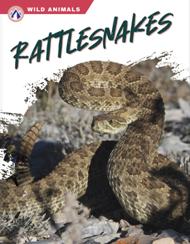Library Binding Rattlesnakes Book