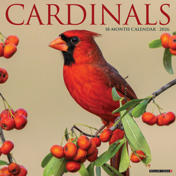 Calendar Cardinals 2026 Wall Calendar Book