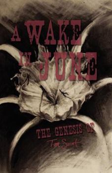 Paperback A Wake in June Book
