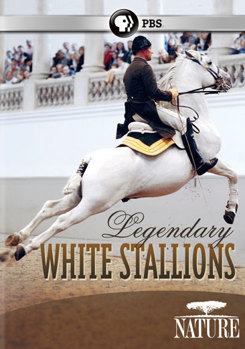 DVD Nature: Legendary White Stallions Book