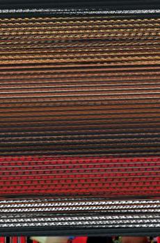 Paperback Prophecy Sketches Book