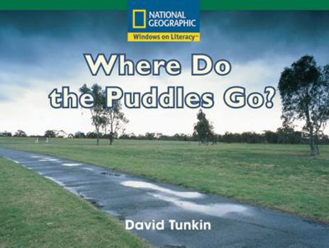 Where Do the Puddles Go?
