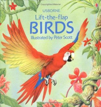 Hardcover Birds Book