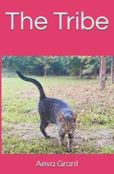 Paperback The Tribe Book
