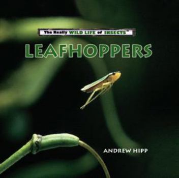 Library Binding Leafhoppers Book