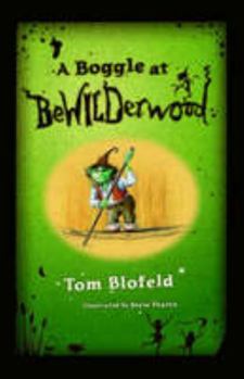 Hardcover A Boggle at Bewilderwood Book