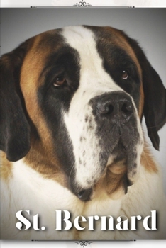 Paperback St. Bernard: Dog breed overview and guide Book