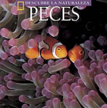 Hardcover Peces [Spanish] Book