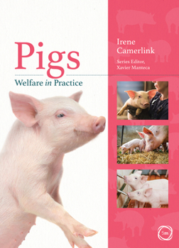 Paperback Pigs Welfare in Practice Book