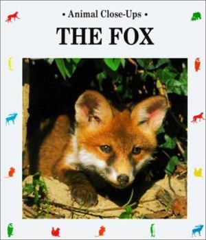The Fox - Book  of the Animal Close-Ups
