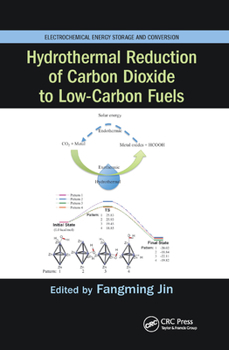 Paperback Hydrothermal Reduction of Carbon Dioxide to Low-Carbon Fuels Book