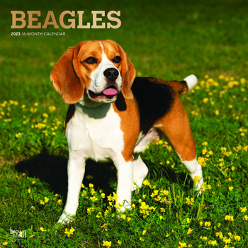 Beagles 2023 Square Foil