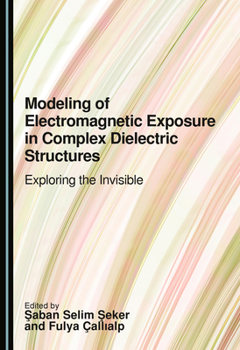 Hardcover Modeling of Electromagnetic Exposure in Complex Dielectric Structures: Exploring the Invisible Book