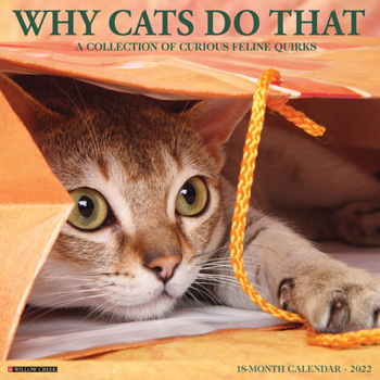 Calendar Why Cats Do That 2022 Wall Calendar Book