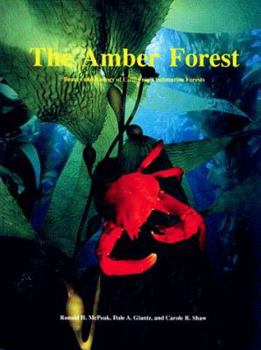 Paperback Amber Forest: Beauty and Biology of California's Submarine Forests Book