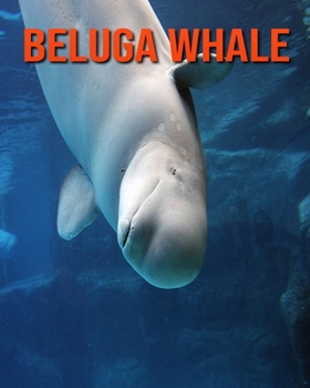 Paperback Beluga Whale: Incredible Pictures and Fun Facts about Beluga Whale Book