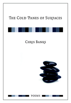 Paperback The Cold Panes of Surfaces Book