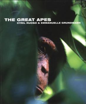 Paperback The Great Apes Book