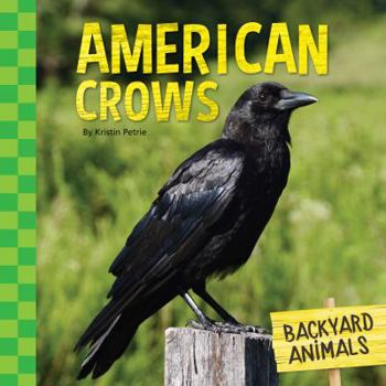 American Crows - Book  of the Backyard Animals