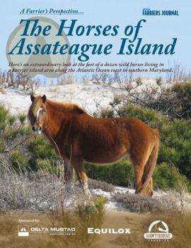 Paperback The Horses of Assateague Island Book