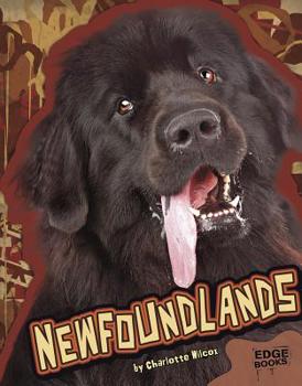 The Newfoundland (Wilcox, Charlotte. Learning About Dogs.) - Book  of the Learning About Dogs