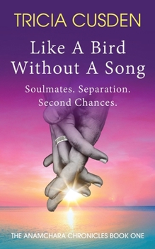 Like A Bird Without A Song: Soul Mates. Separation. Second Chances (Anamchara Chronicles)