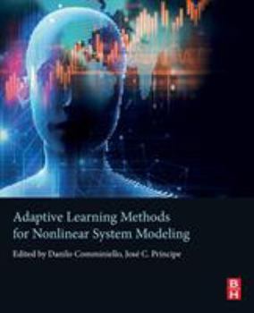 Paperback Adaptive Learning Methods for Nonlinear System Modeling Book