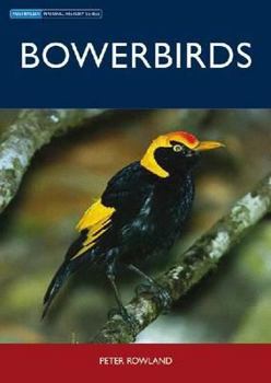 Paperback Bowerbirds Book