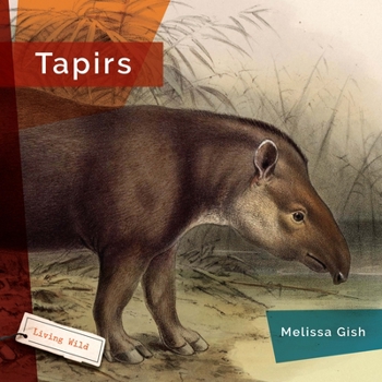 Hardcover Tapirs Book