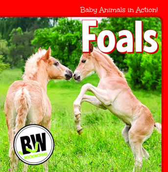 Library Binding Foals Book