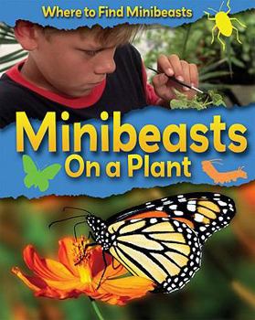 Library Binding Minibeasts on a Plant Book