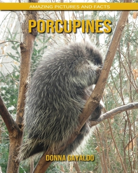 Porcupines: Amazing Pictures and Facts