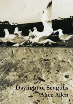 Paperback Daylight of Seagulls Book