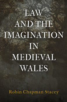 Hardcover Law and the Imagination in Medieval Wales Book