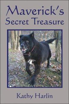 Paperback Maverick's Secret Treasure Book
