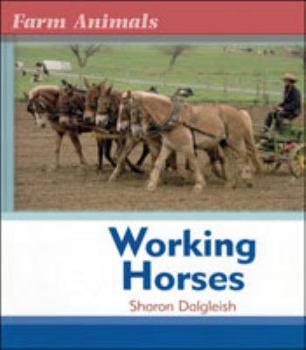 Hardcover Working Horses Book